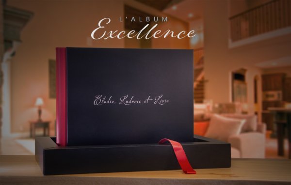 Excellence-Main